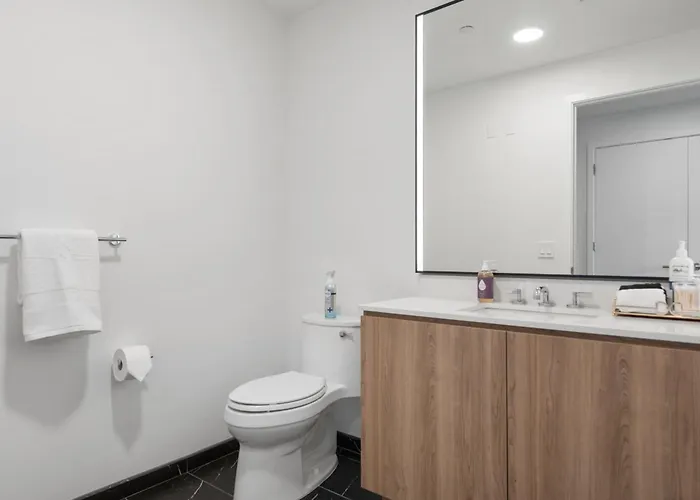 Lux Apts With Views And Amenities * Chicago