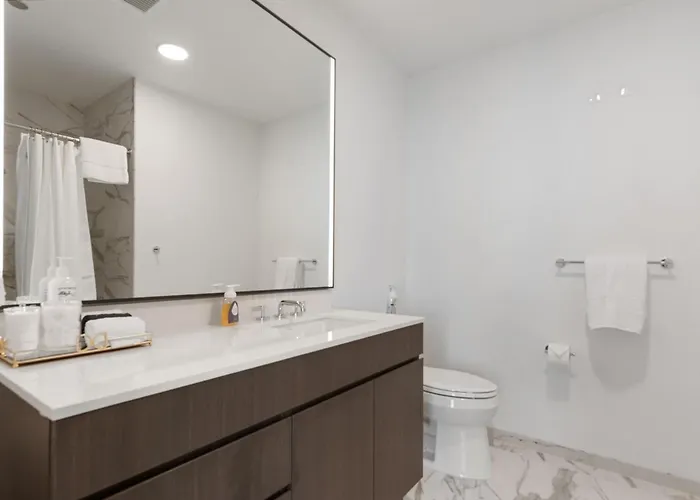 Apartment Lux Apts With Views And Amenities Chicago
