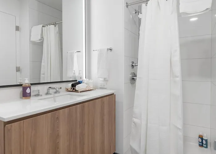 Apartment Lux Apts With Views And Amenities Chicago