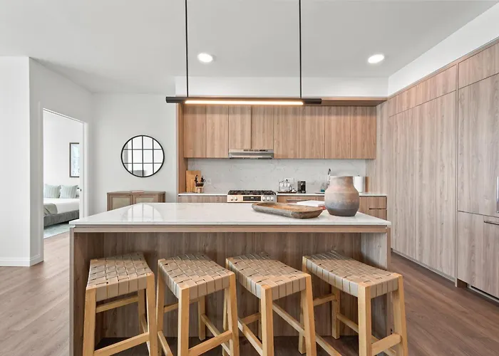 Lux Apts With Views And Amenities Apartment Chicago