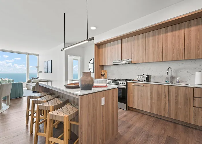Apartment Lux Apts With Views And Amenities Chicago