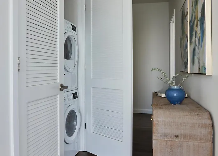 Apartment Lux Apts With Views And Amenities Chicago