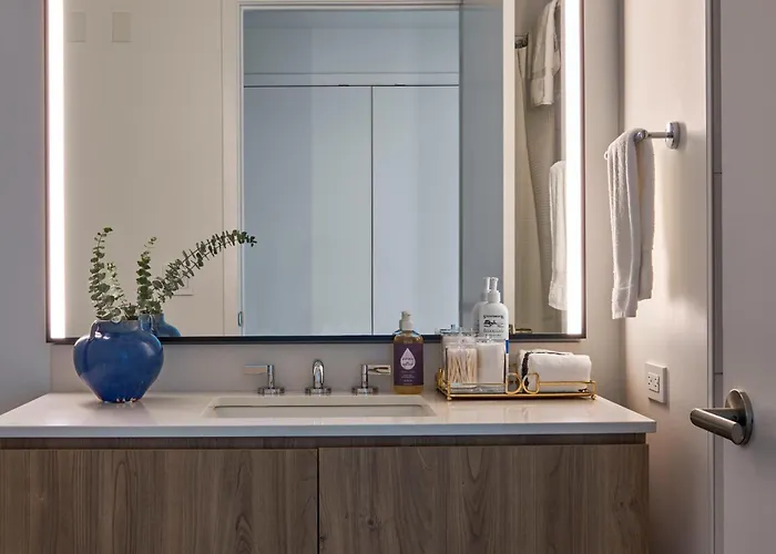 Lux Apts With Views And Amenities Chicago